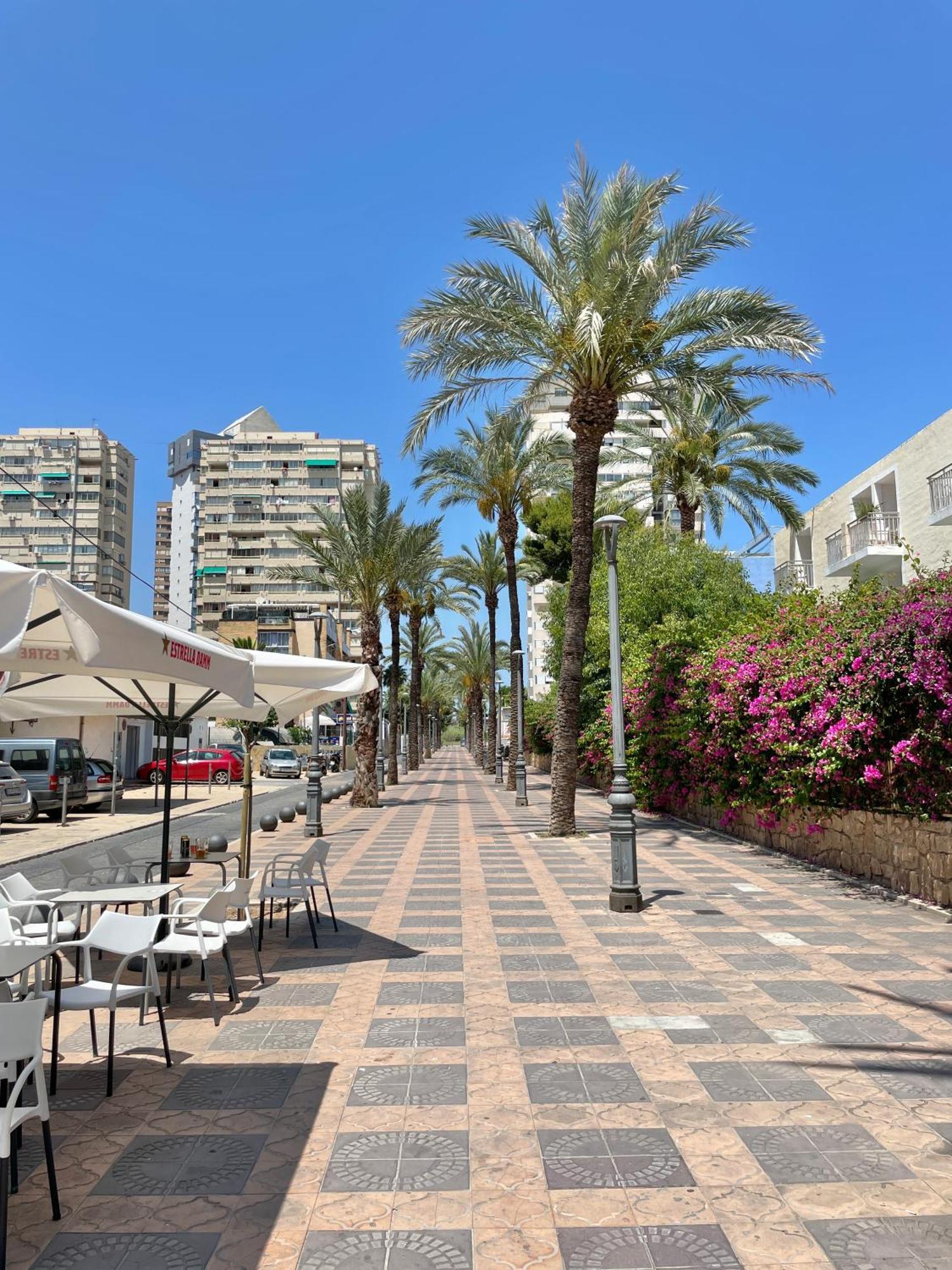 Apartamento New Square Ibiza Benidorm